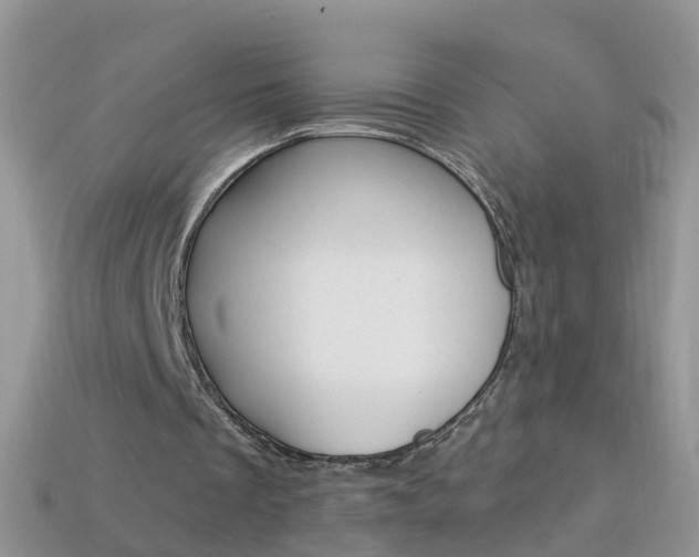 X0000114240289200910091354