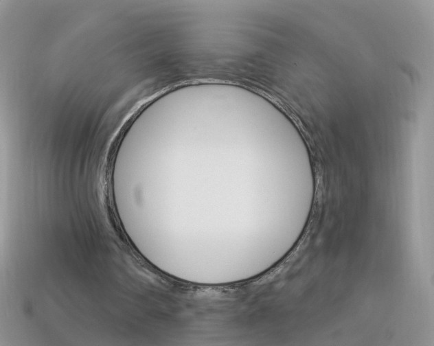 X0000114240290200910091354