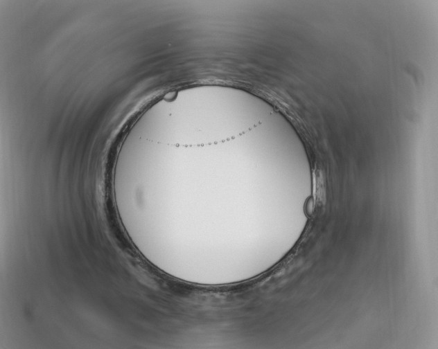 X0000114240291200910091354