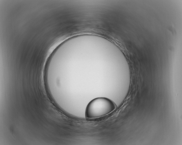 X0000114240292200910091354