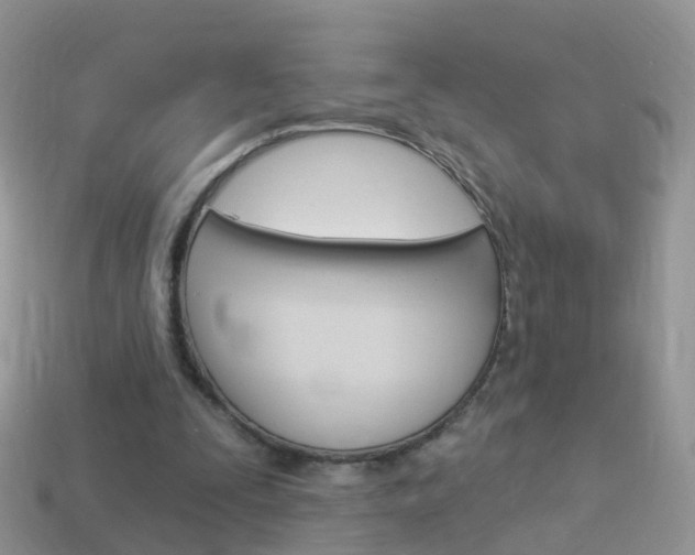 X0000114240295200910091354