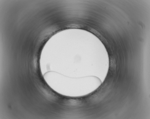 X0000114240302200910091354