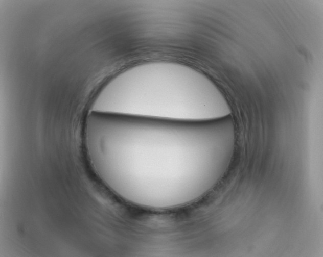 X0000114240303200910091354