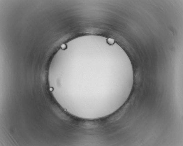 X0000114240305200910091354