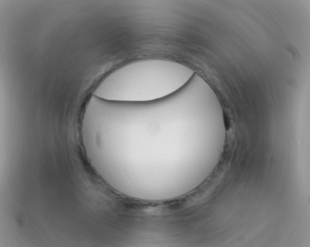 X0000114240306200910091354