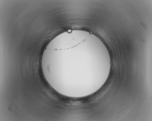 X0000114240311200910091354