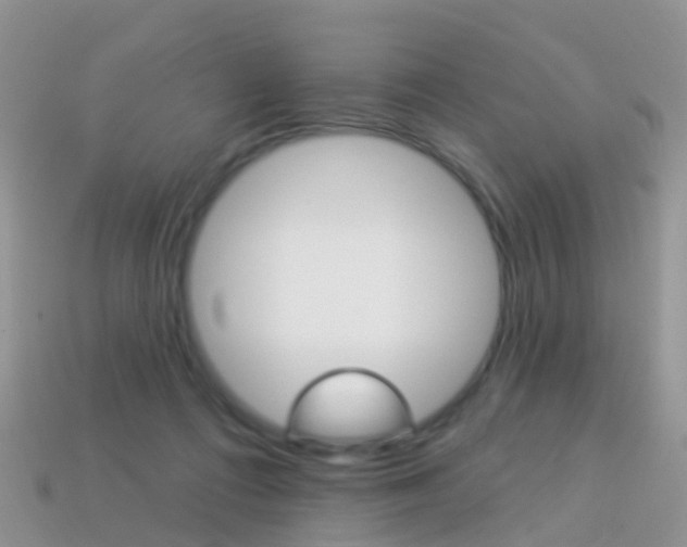 X0000114240312200910091354