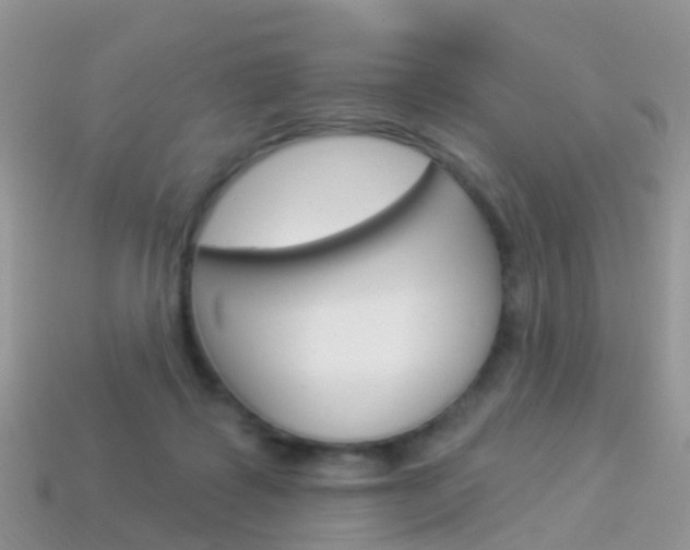 X0000114240315200910091354