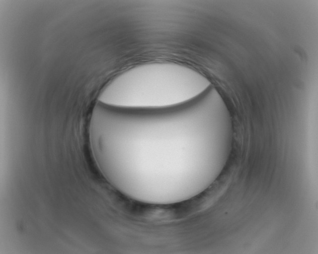 X0000114240319200910091354