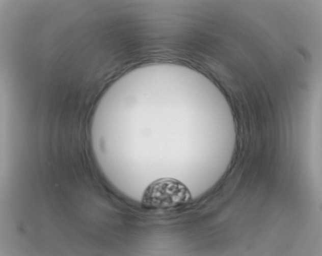 X0000114240320200910091354