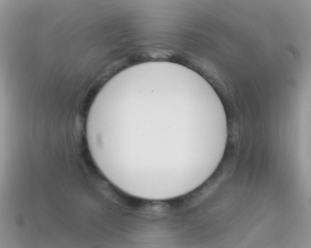 X0000114240321200910091354