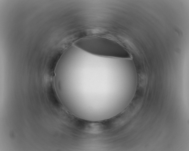 X0000114240324200910091354