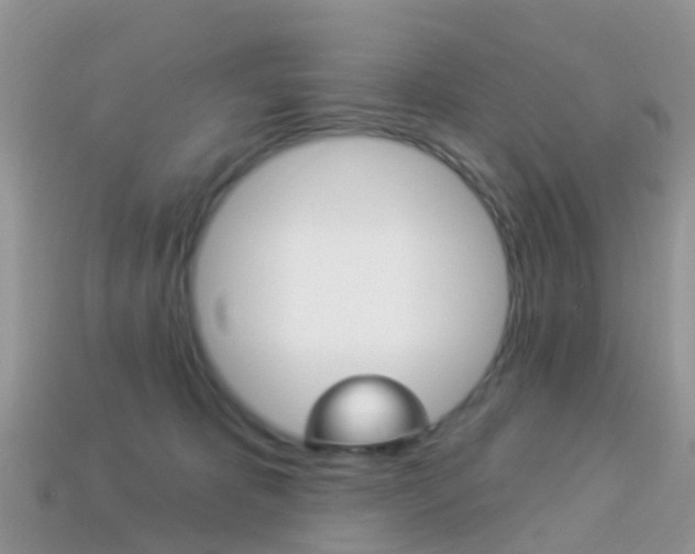 X0000114240325200910091354