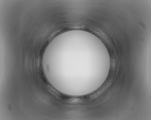 X0000114240326200910091354