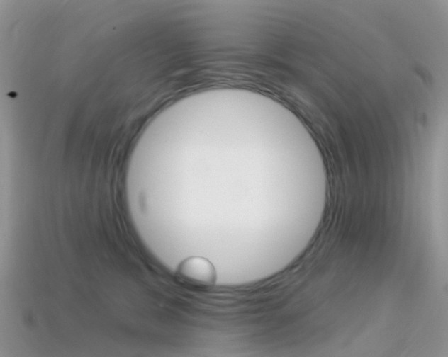 X0000114240327200910091354