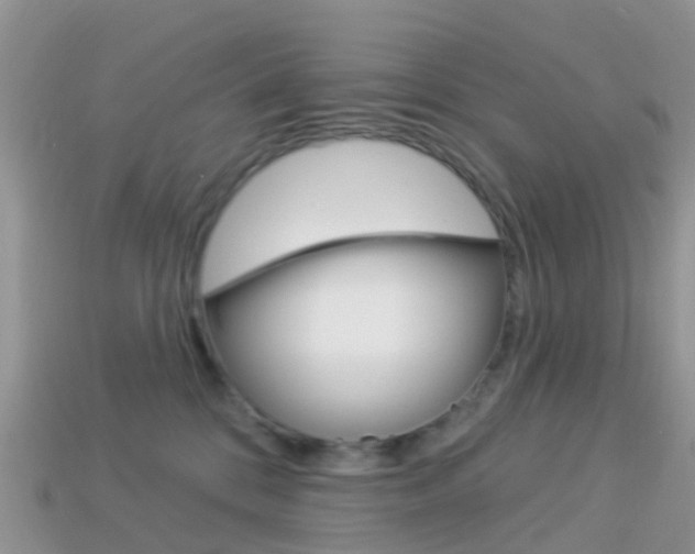 X0000114240328200910091354