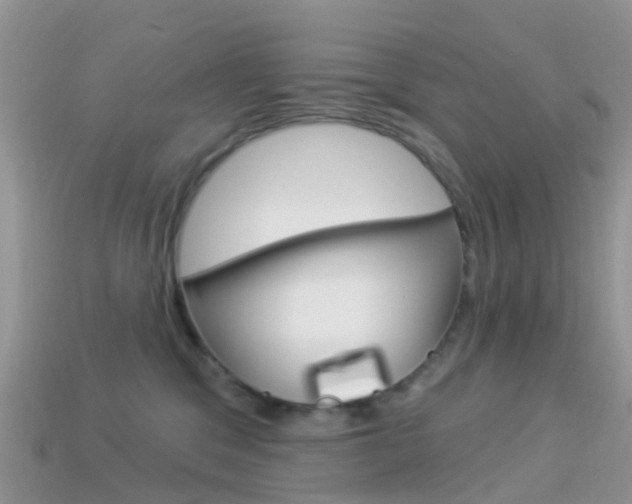 X0000114240329200910091354