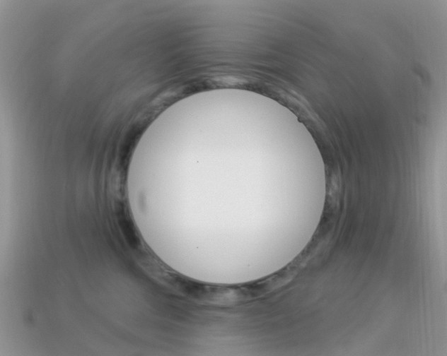 X0000114240330200910091354