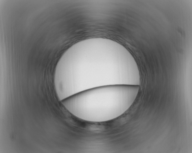 X0000114240331200910091354