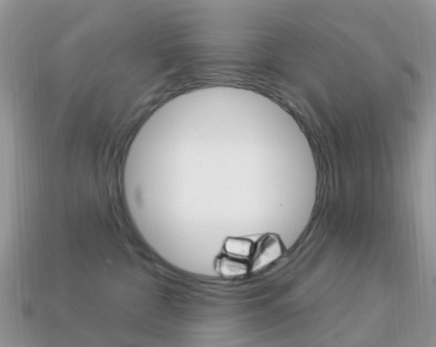 X0000114240332200910091354