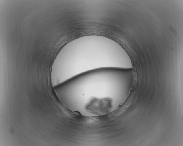 X0000114240333200910091354