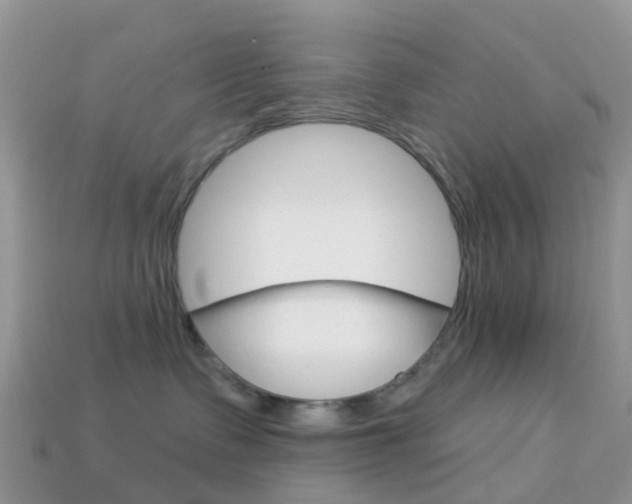 X0000114240335200910091354