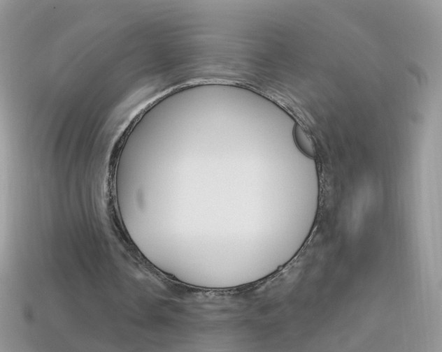 X0000114240338200910091353