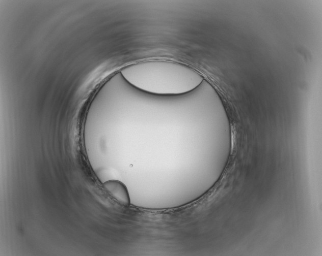 X0000114240339200910091353