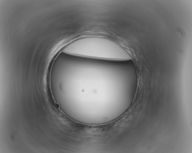 X0000114240340200910091353