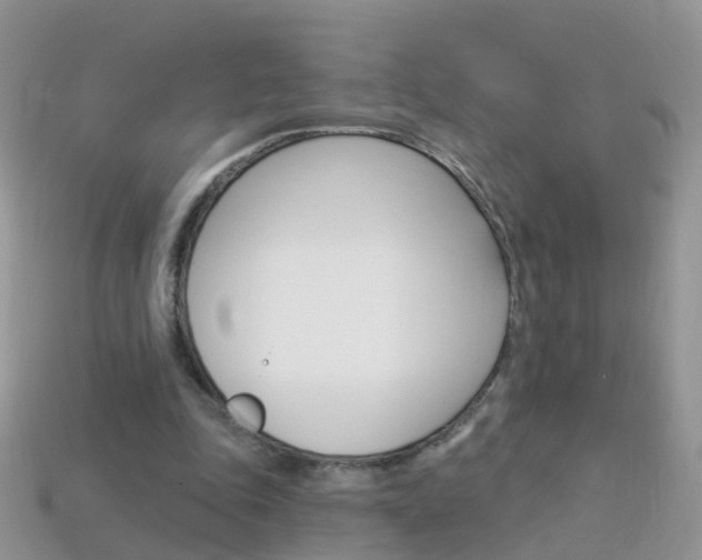 X0000114240343200910091353