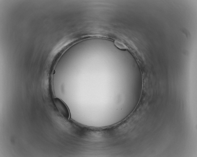 X0000114240344200910091353