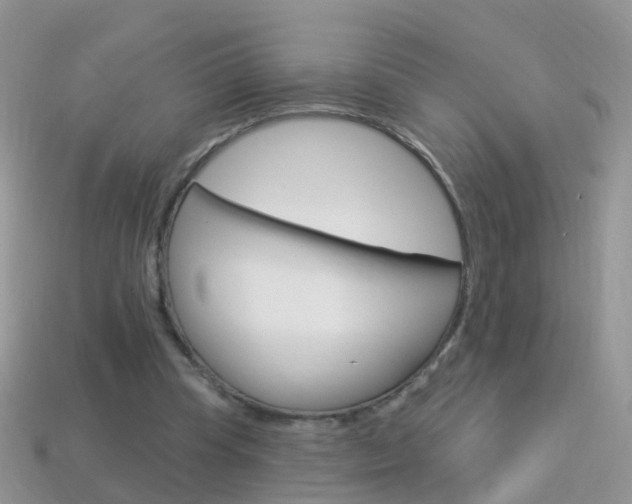 X0000114240345200910091353