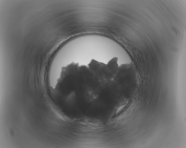 X0000114240347200910091353