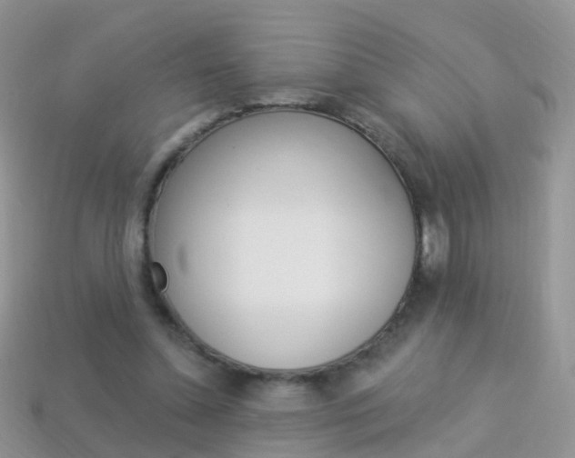 X0000114240348200910091353