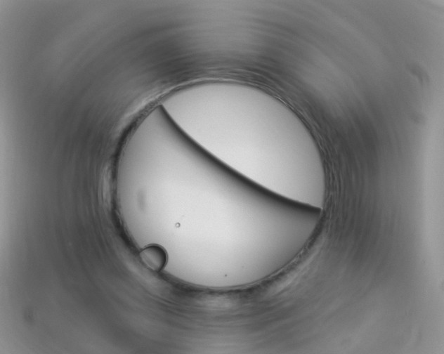 X0000114240349200910091353