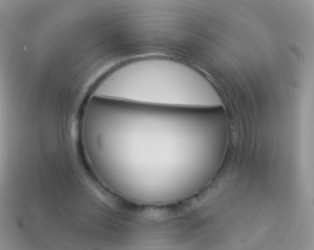X0000114240350200910091353