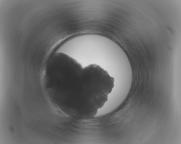 X0000114240351200910091353