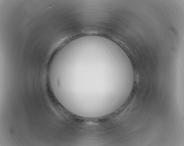 X0000114240352200910091353
