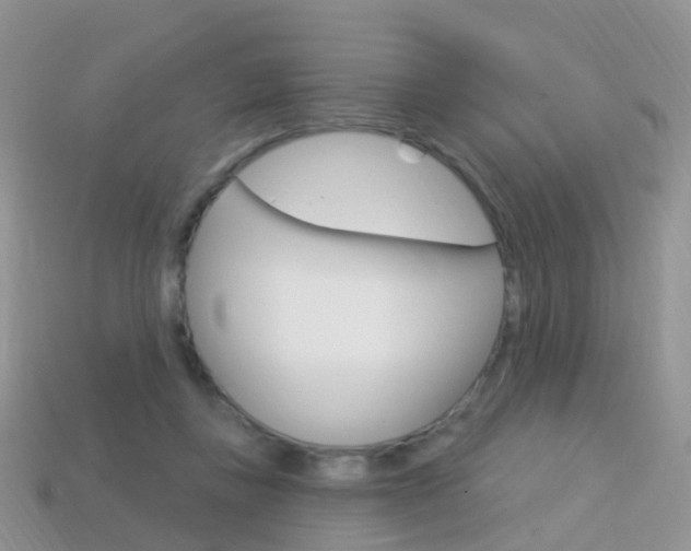 X0000114240355200910091353