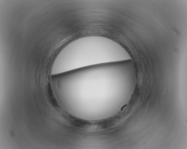 X0000114240356200910091353