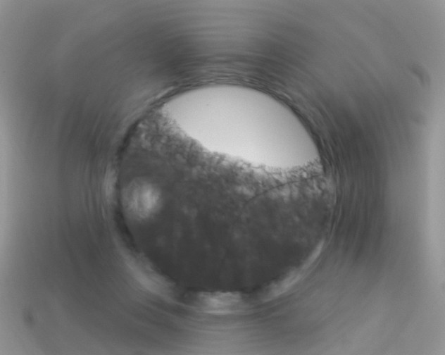 X0000114240359200910091353