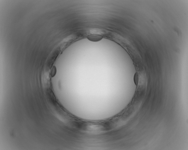 X0000114240360200910091353