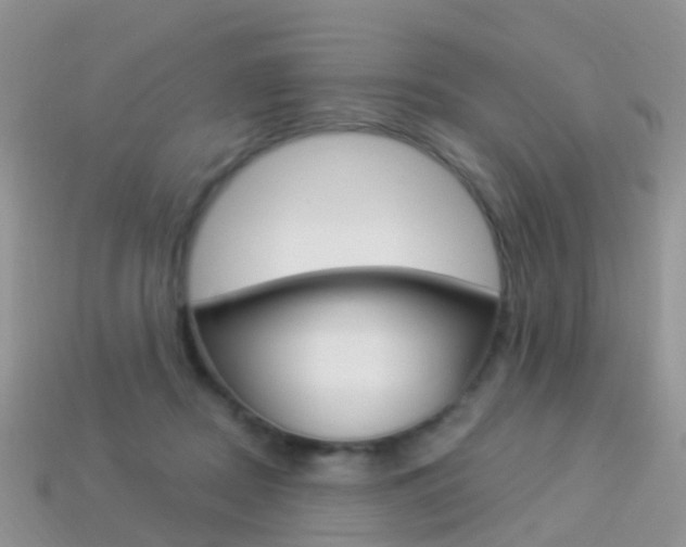 X0000114240362200910091353