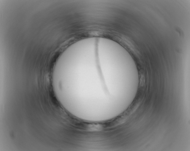 X0000114240363200910091353