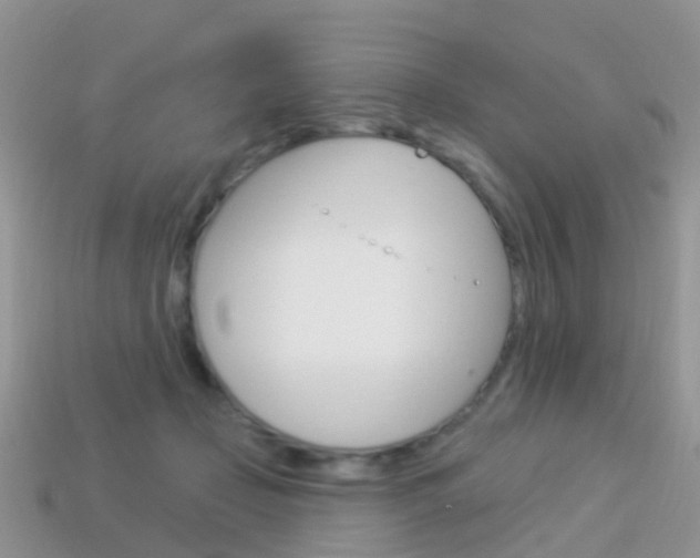 X0000114240365200910091353