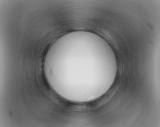 X0000114240366200910091353