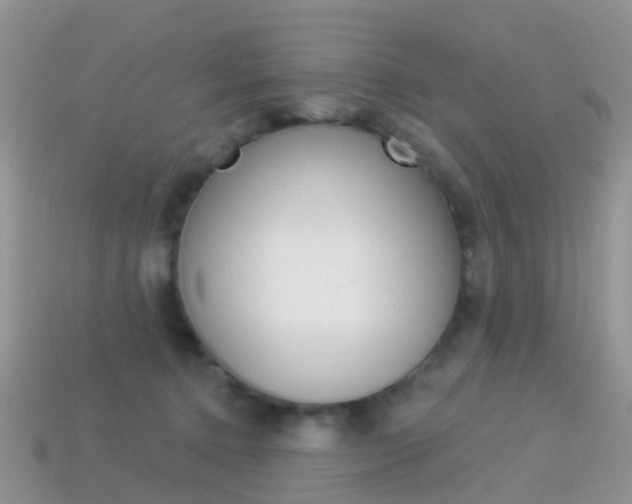 X0000114240368200910091353