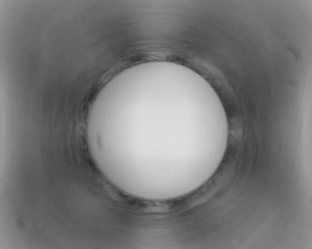 X0000114240369200910091353