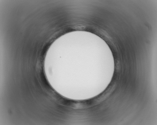 X0000114240370200910091353
