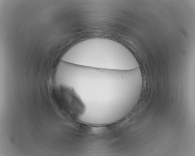 X0000114240371200910091353